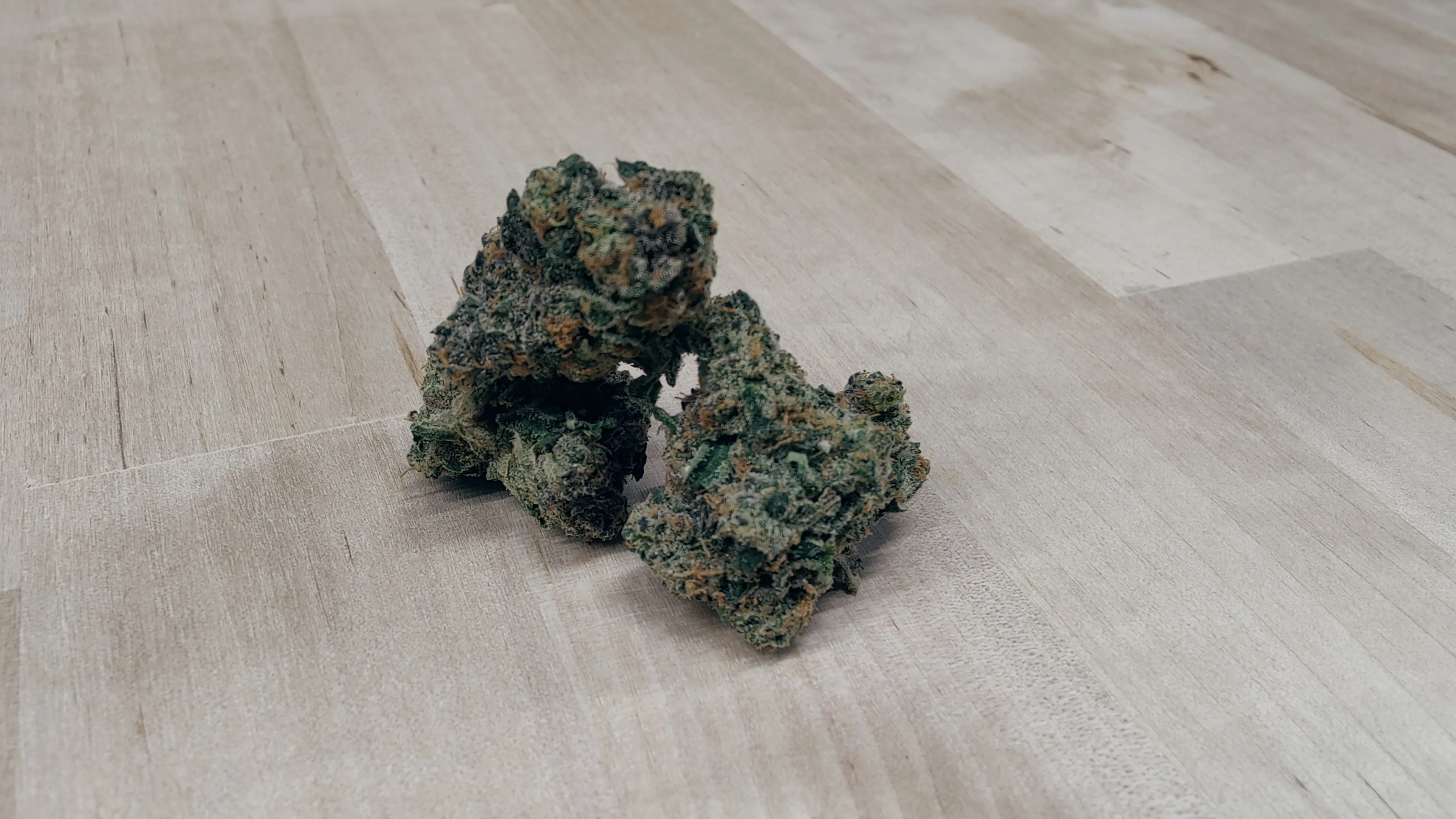 Apple Fritter