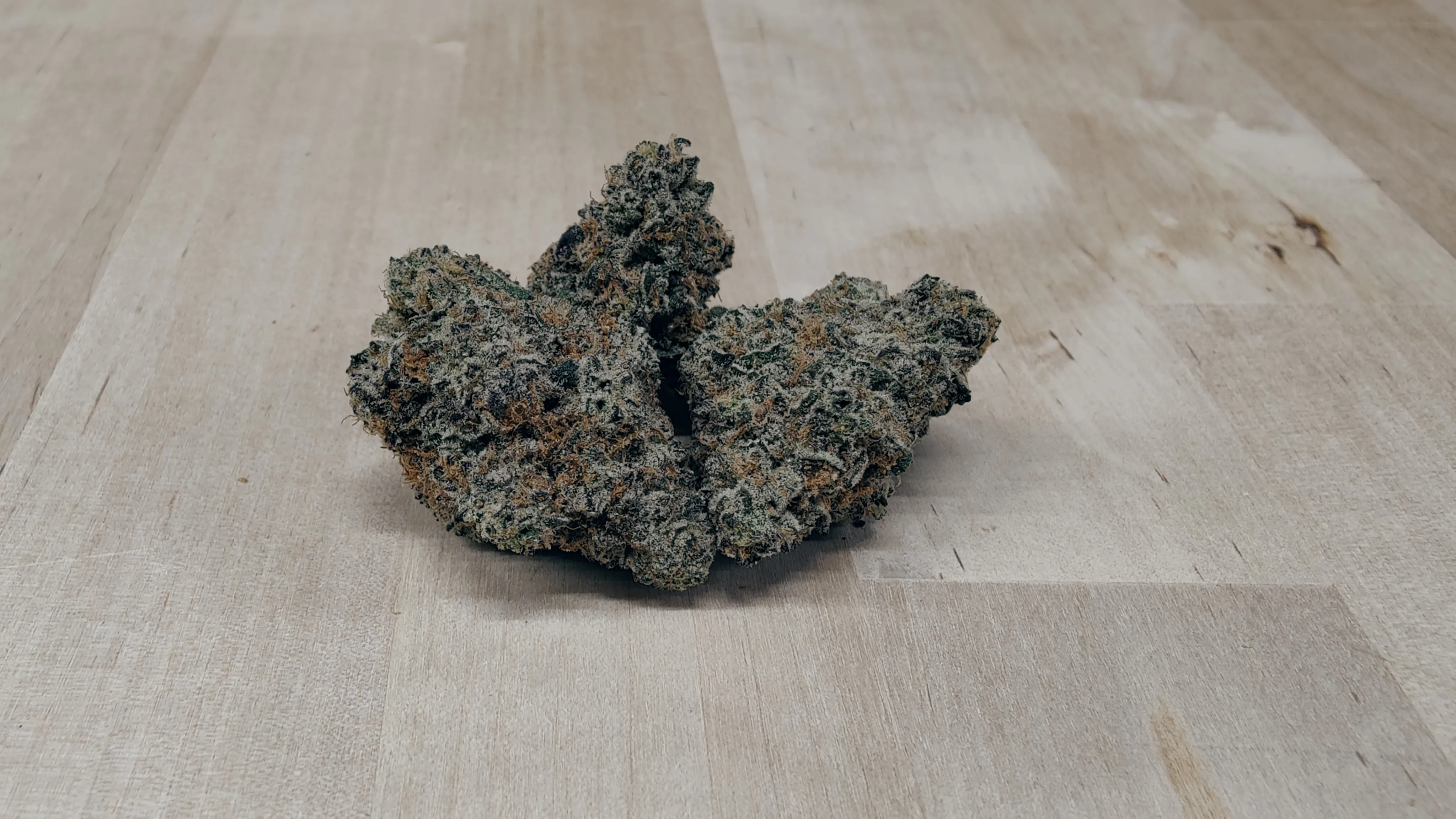 Kush Rizz