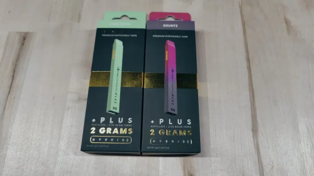 Whole Melt Disposable 2grams